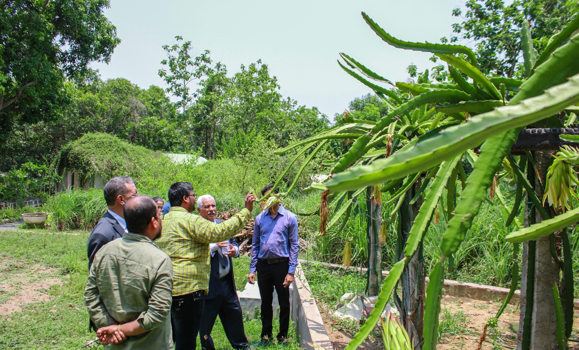 Organic Farm Tour