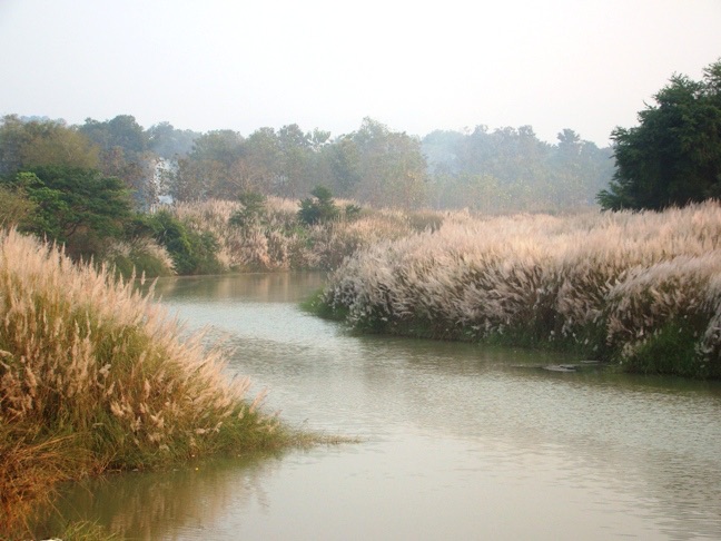 Broad sandy stretch of the Mahendratanaya near Paralakhemundi