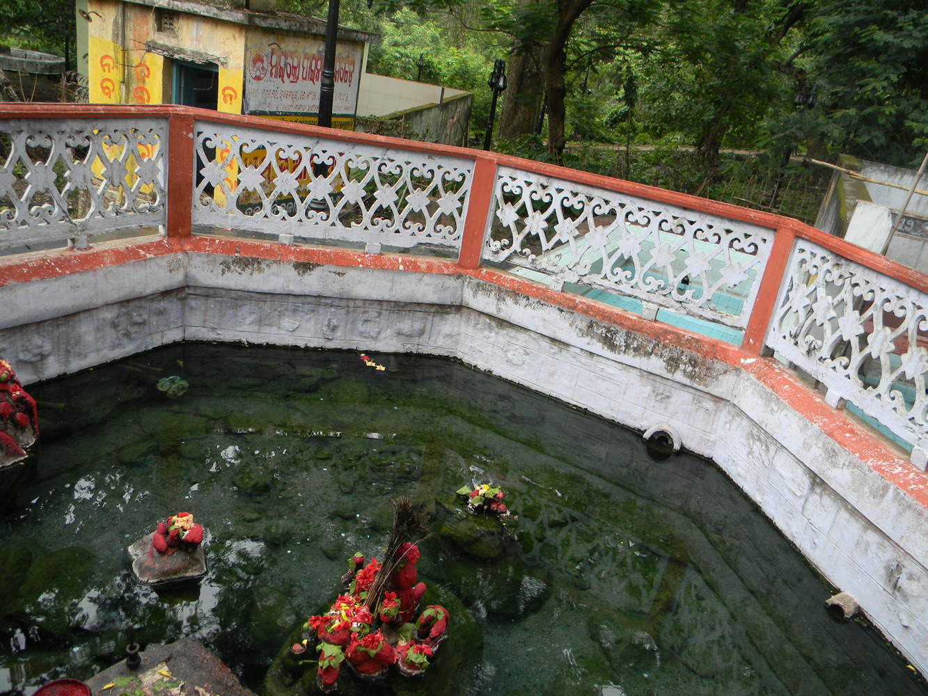 Steam rising off the Taptapani spring