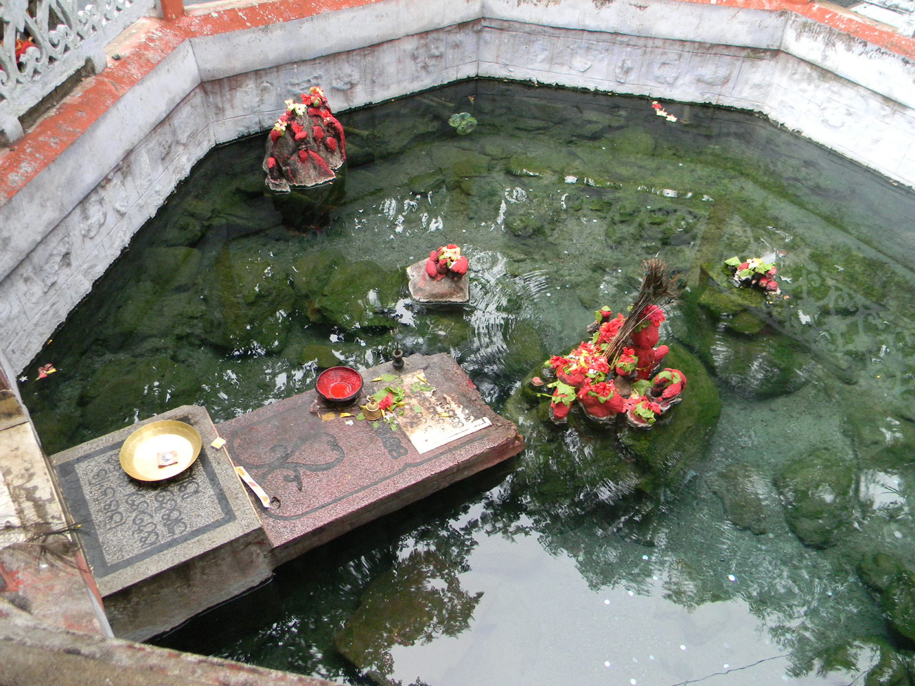The Taptapani hot spring pool in the forest, Odisha